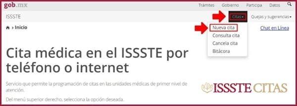 cita issste internet